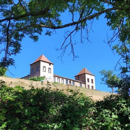 Chateau De Gorze Germolles-sur-Grosne 외부 사진