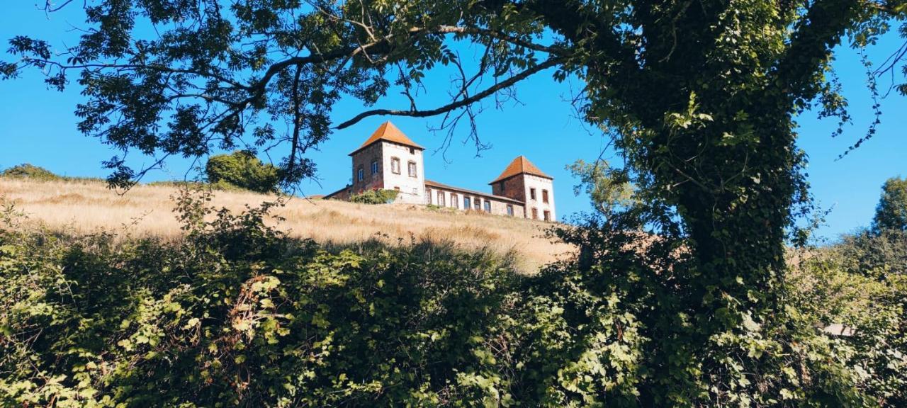 Chateau De Gorze Germolles-sur-Grosne 외부 사진